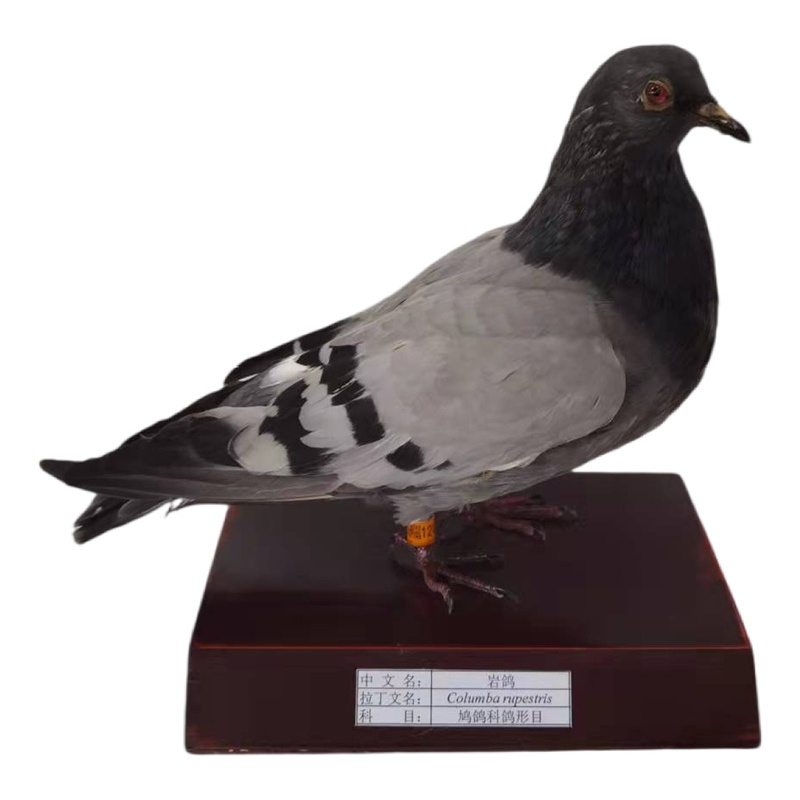 �r����(bi��o)��